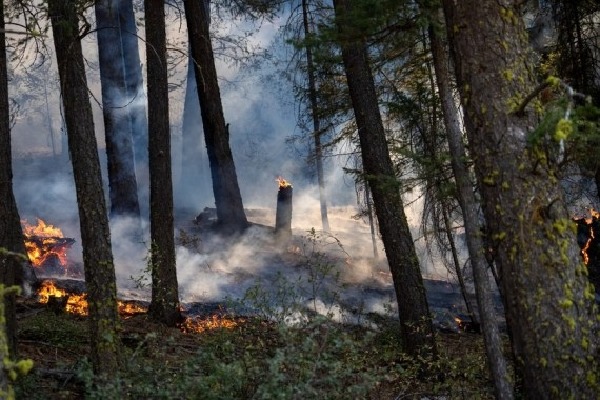 California secures disaster declaration as wildfires spread