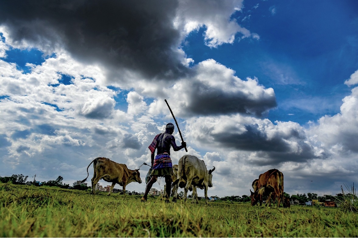 Over 70% Indian agri-households possess a hectare or less land: NSS data