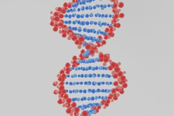 Genes may explain why anxiety is linked to gut disorder