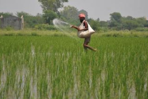 Telangana seeks timely supply of fertilizers from Centre