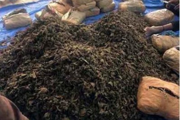 Ganja worth Rs 1 cr seized near Hyderabad