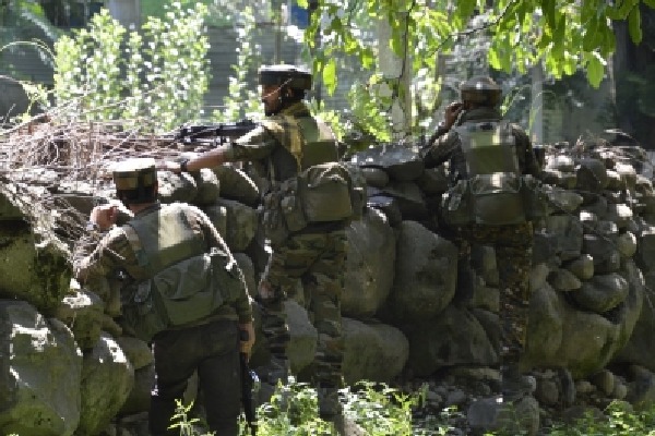 Hizbul commander among 2 terrorists killed in Kashmir gunfight