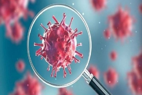 Covid-19 virus harms human immune system: Israeli research