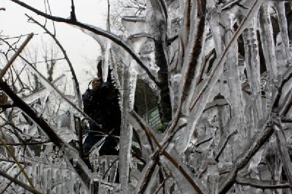 Night temperatures rise as 'Chillai Kalan' starts in Kashmir