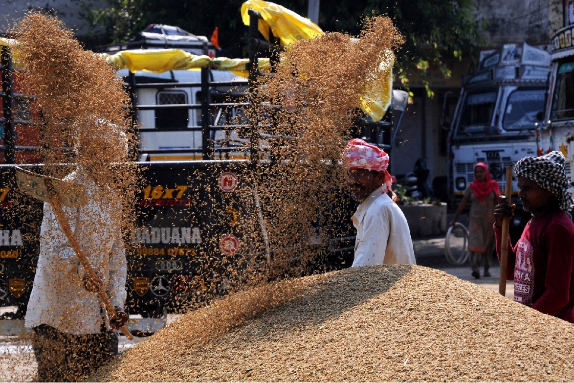 Telangana insists on written assurance from Centre over paddy procurement