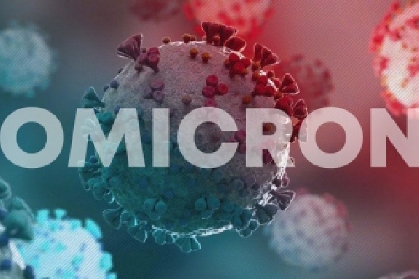 No 'Delmicron' virus yet, time to fight Omicron: Health experts