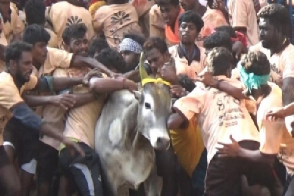 Jallikattu winner to get a car sponsored by TN CM