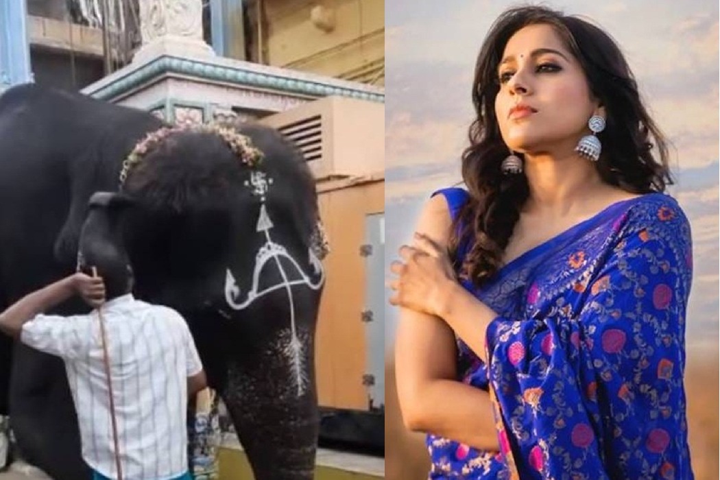 Actress Rashmi Gautam urges people to say no to animal rides, captivity