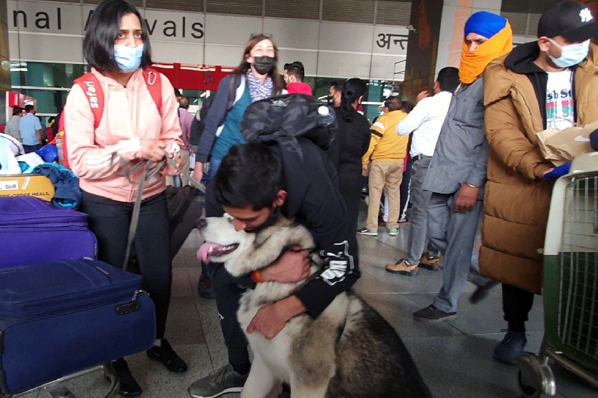 Indian nationals evacuated from Ukraine bring pet dogs