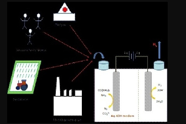 Indian scientists design electrocatalyst system for energy-efficient hydrogen production