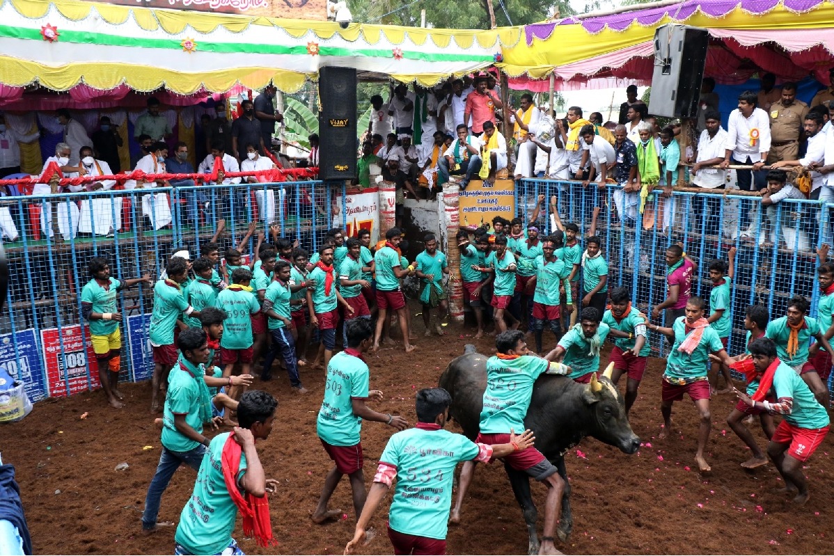 25 injured in 'jallikattu' event at TN village