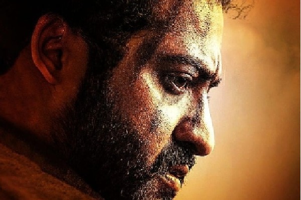 'RRR': 'Komaram Bheemudo' was a 'blood and sweat' project for Jr NTR