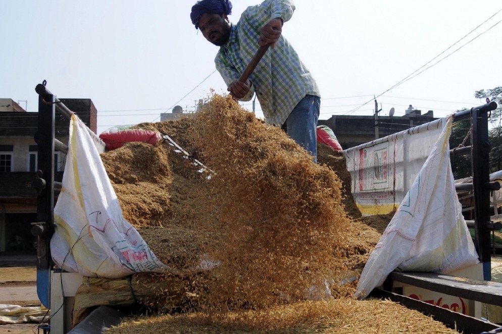 TRS to intensify protest against Centre over paddy