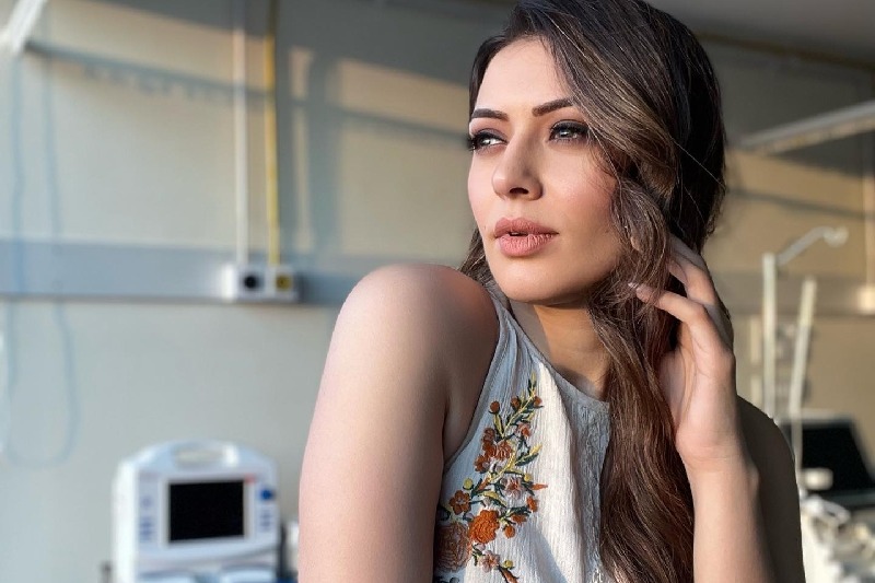 Hansika Motwani's first web series titled 'MY3'