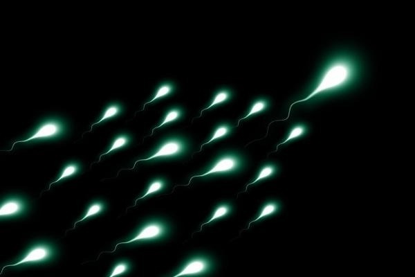 New measure of sperm age may predict pregnancy success