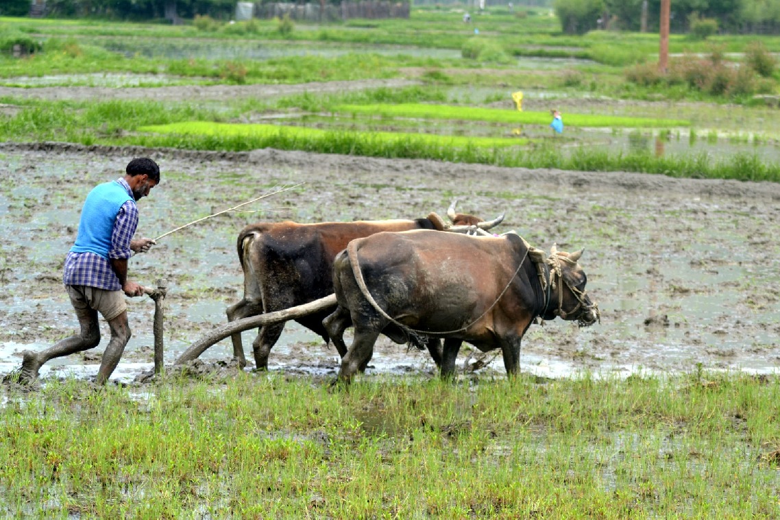 Telangana continues disbursement of investment support among farmers