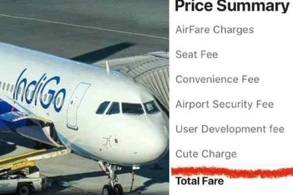 Indigo Airlines charges ‘cute fee’ from passengers, air ticket picture goes viral