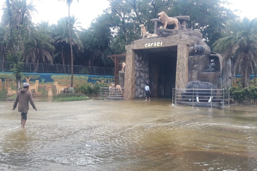 Safari Park at Hyderabad Zoo flooded