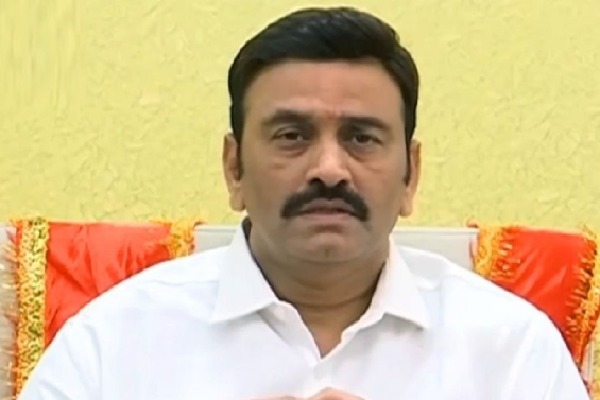 Jr. NTR will never campaign for BJP, MP Raghurama Krishna Raju disagrees with Somu Veerraju