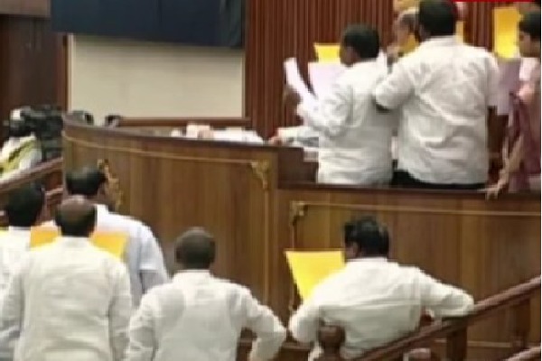 NTR varsity renaming row: TDP members disrupt Assembly proceedings