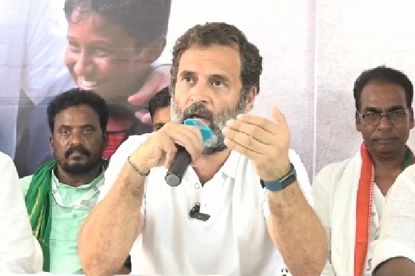 New Congress president will decide my role: Rahul