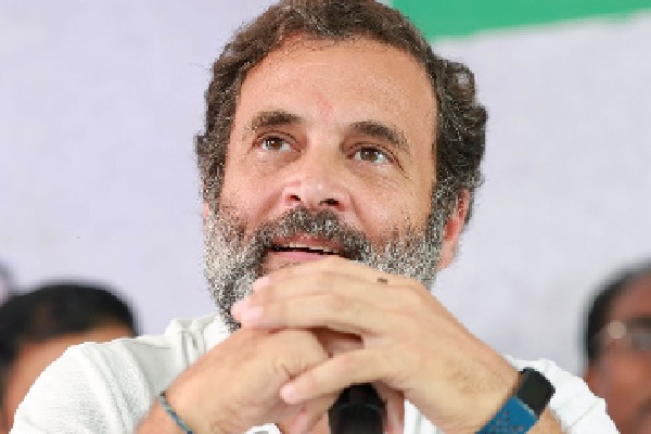 Rahul believes Andhra has lot of room for Congress to grow