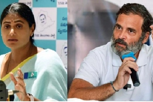 YS Sharmila urges Rahul to speak up on corruption in Kaleshwaram project