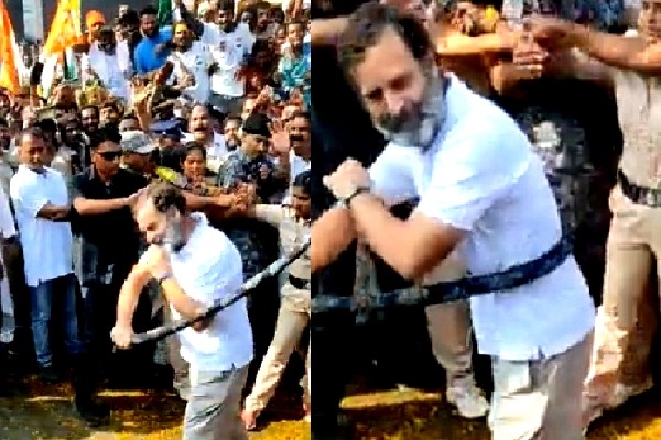 Rahul Gandhi turns Potharaju during Bharat Jodo Yatra in Telangana