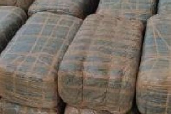 200 kg ganja seized in Hyderabad, 3 held