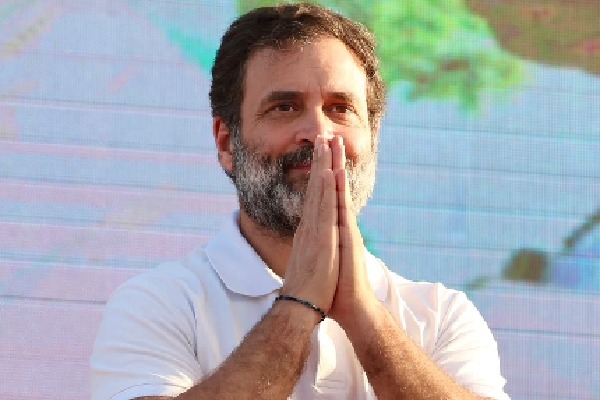 New judge to hear Rahul Gandhi's appeal against conviction on Sat