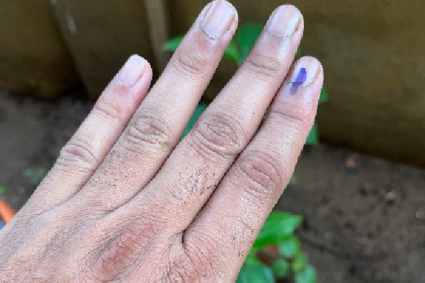 Voting for Karnataka Assembly election begins