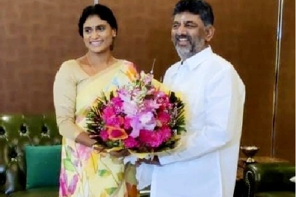 YSR Telangana party chief Sharmila meets K'taka dyCM Shivakumar