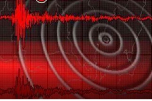 4.8-magnitude quake jolts Assam