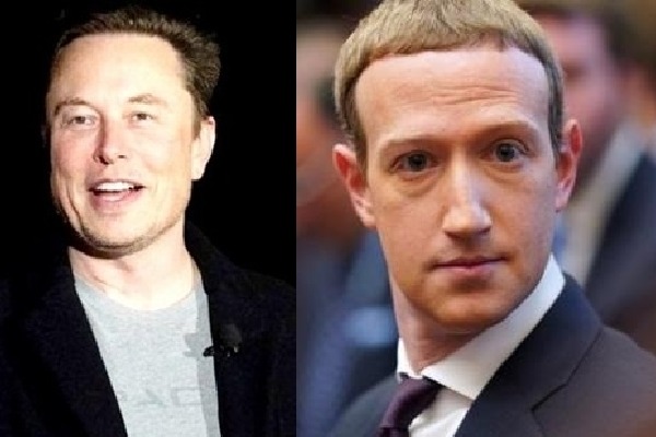 Musk ready to fight at Zuckerberg’s home, Meta founder says ‘it’s time to move on’