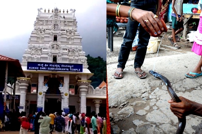 Special prayers in K'taka temple on Nag Panchami for Chandrayaan-3 mission success