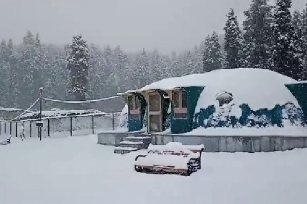 Fresh snowfall in mountains as rain lashes J&K plains