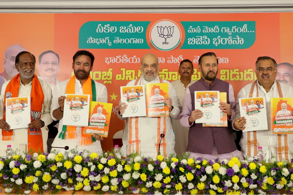 Sardar Patel liberated Telangana from Razakars, Nizams: Amit Shah