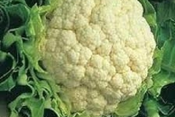 Man killed for stealing cauliflower in Bihar