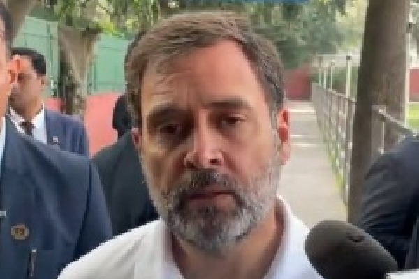 Unemployment, inflation reasons behind Parliament security breach: Rahul