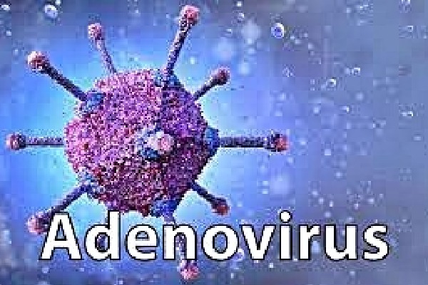 Central body cautions Bengal govt over deadly adenovirus variant in kids