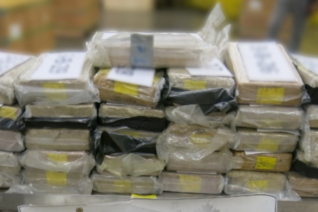 Indo-Canadian charged for trying to transport cocaine worth $4.86 mn