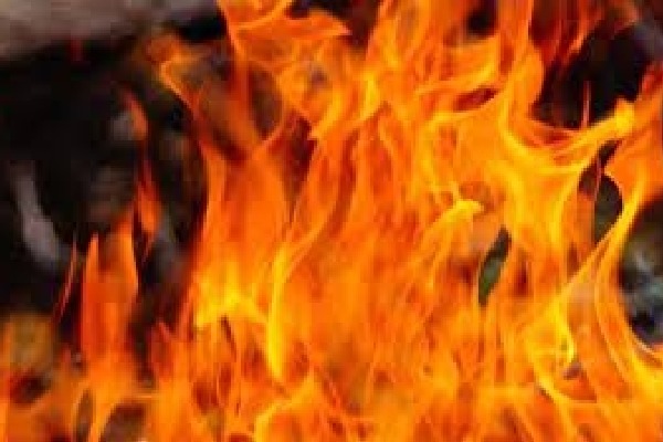 Bus catches fire in Telangana, woman charred to death