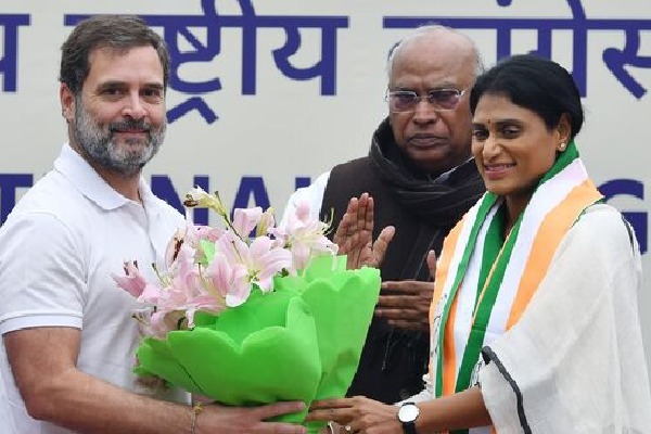 Sharmila appointed Andhra Pradesh Congress president