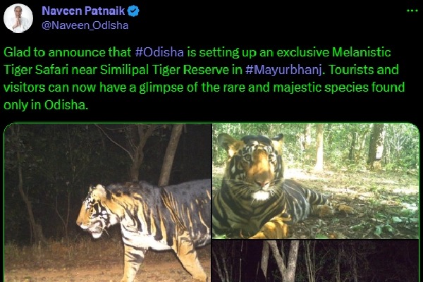 Odisha govt to set up first 'black tiger safari'