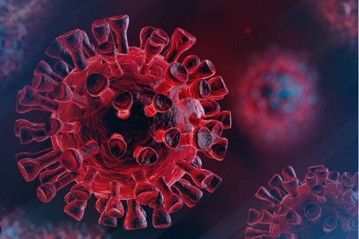 How common cold virus boosts immune system to fight Covid