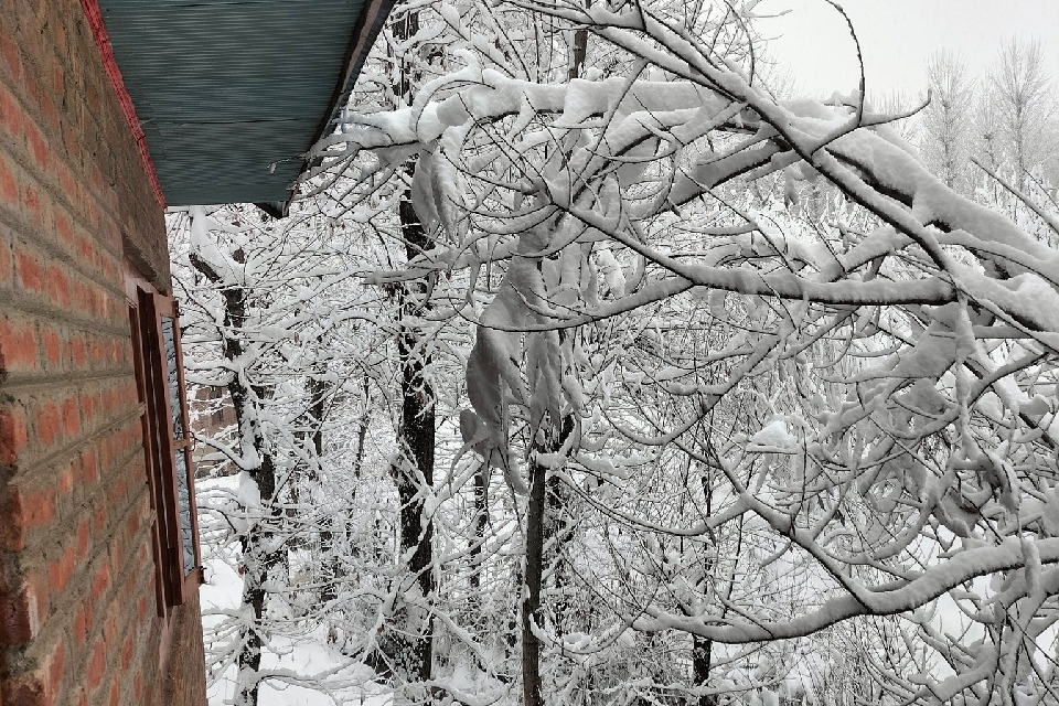 Kashmir plains receive season's first snowfall