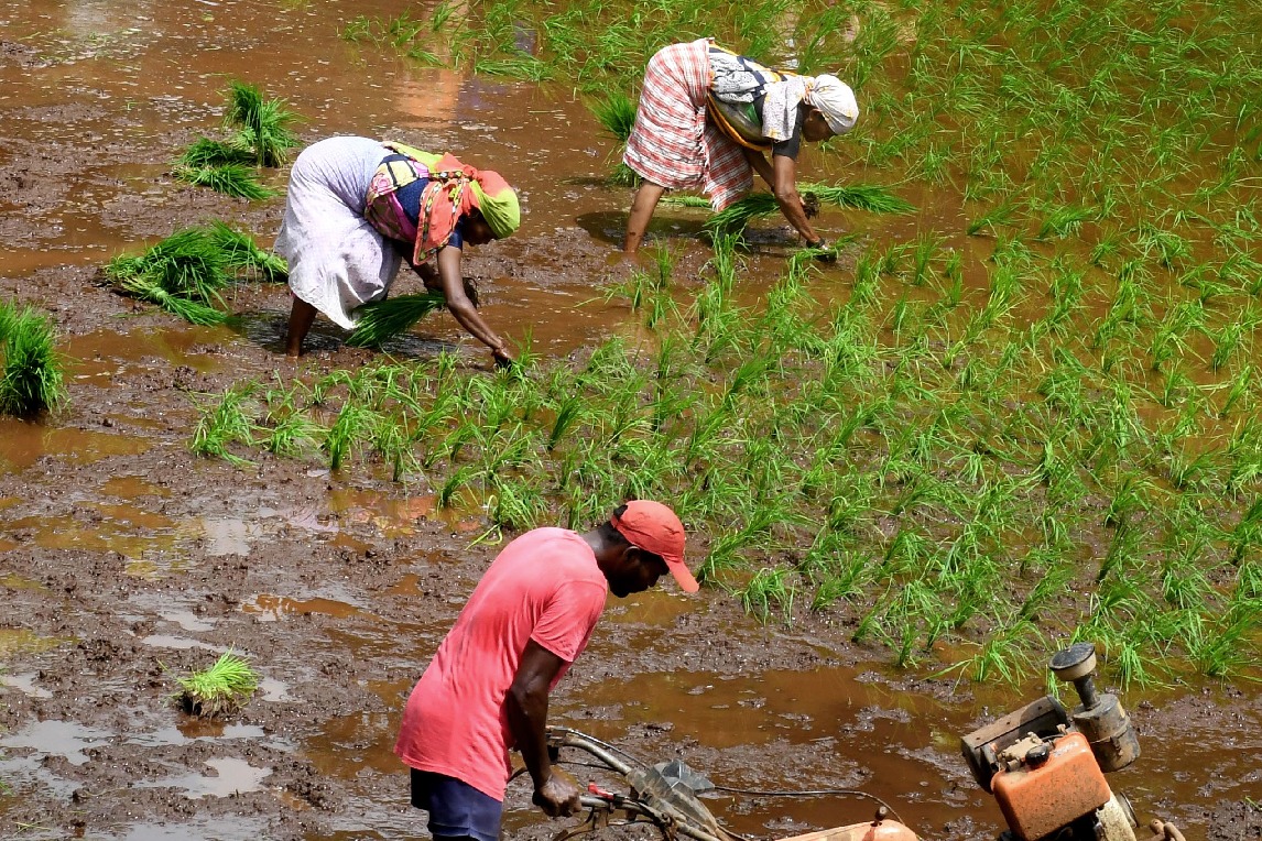 Interim Budget: FM focus on farmers welfare and rural demand, says direct financial help provided to 11.8 cr farmers every year