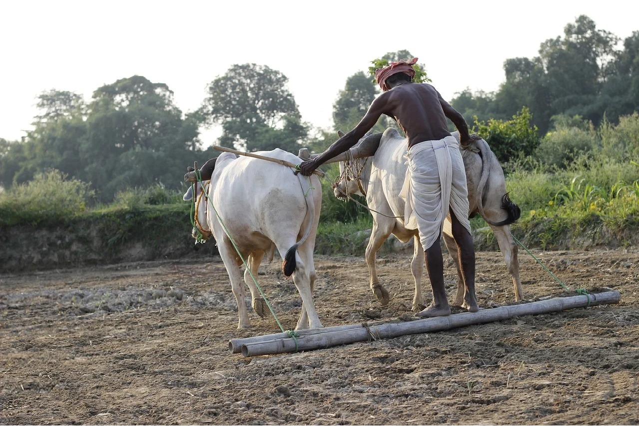 The situation of farmers in our country is so dire, see these details!