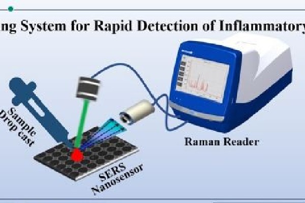 New nanosensor to check body’s inflammatory level, diagnose disease in 30 minutes