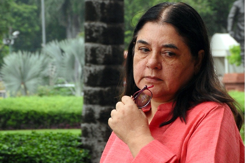 Maneka Gandhi's assets worth Rs 97.17 crore